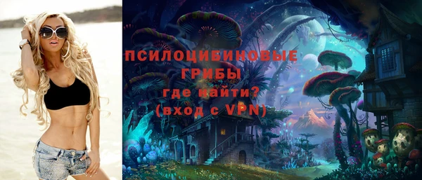 дурь Белокуриха