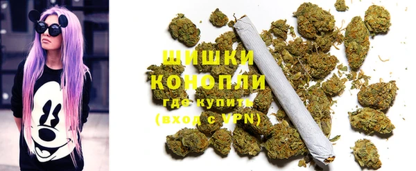 дурь Белокуриха