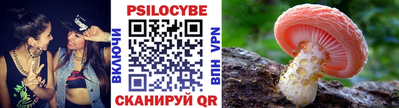 Галлюциногенные грибы GOLDEN TEACHER omg маркетплейс darknet какой сайт Светлогорск